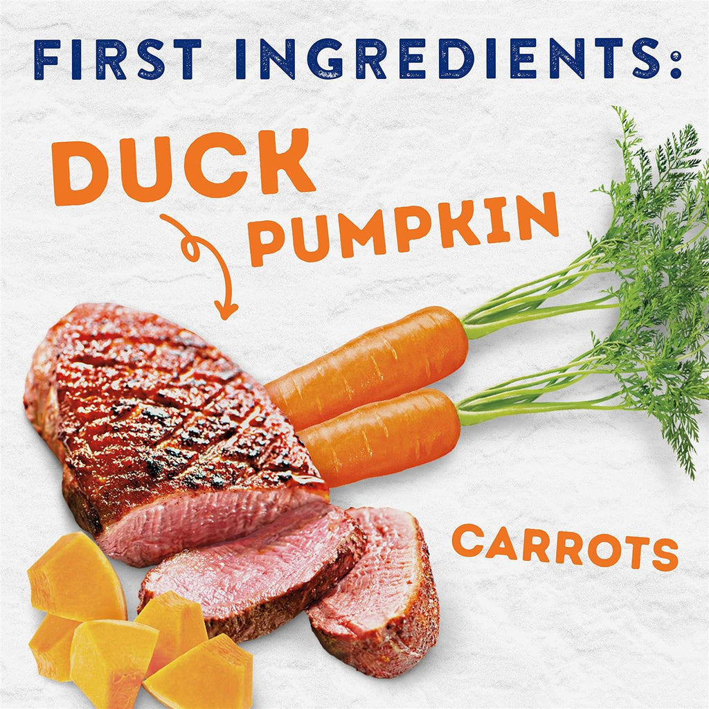 Savory Duck & Pumpkin Recipe Wet Dog Food E532859