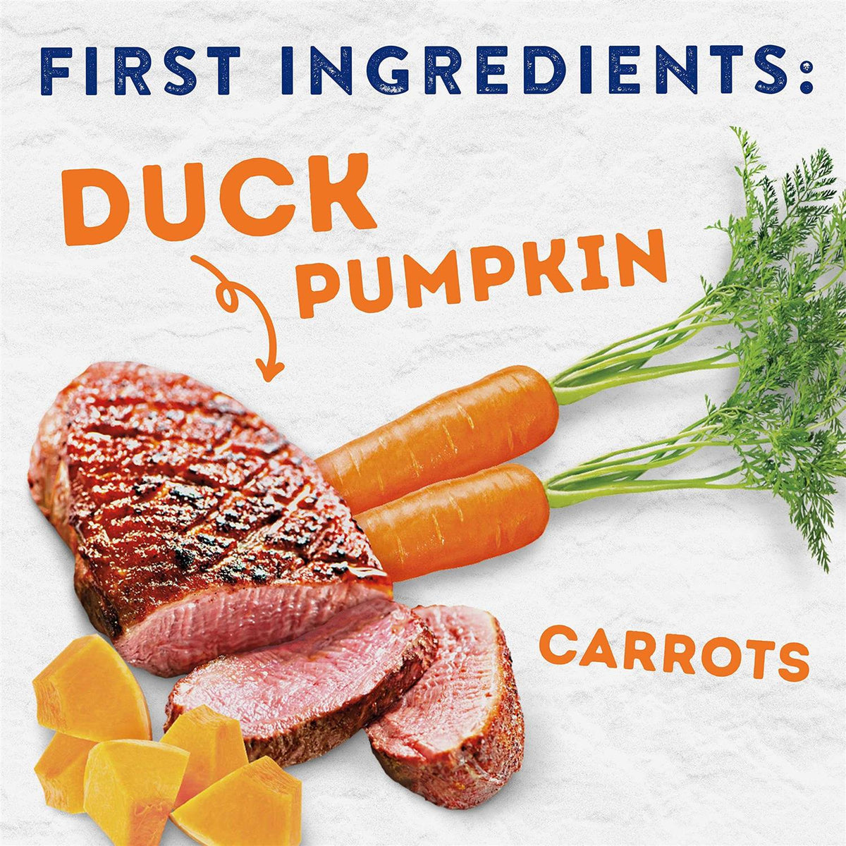 Savory Duck & Pumpkin Recipe Wet Dog Food E532859