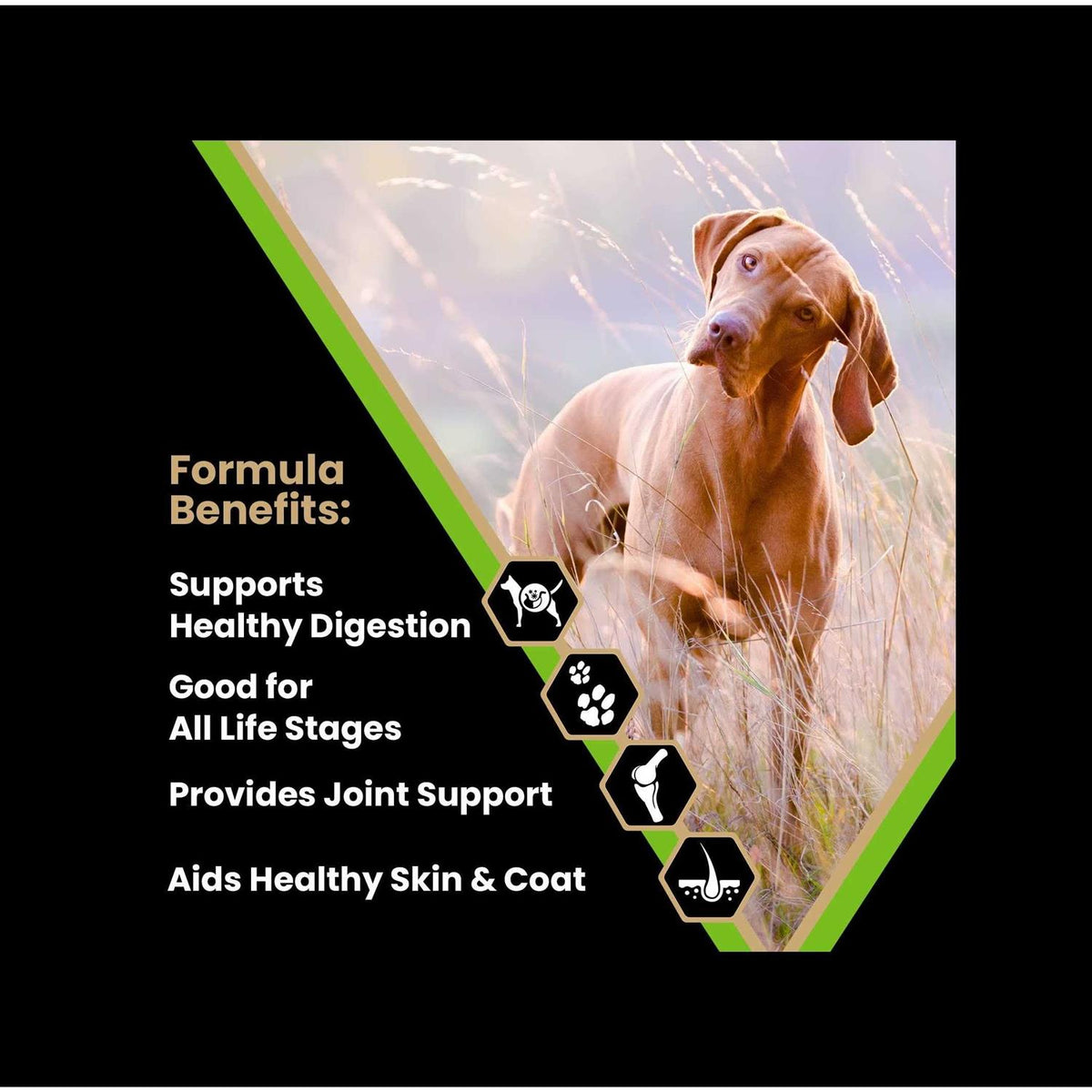 Dry Dog Food K4752