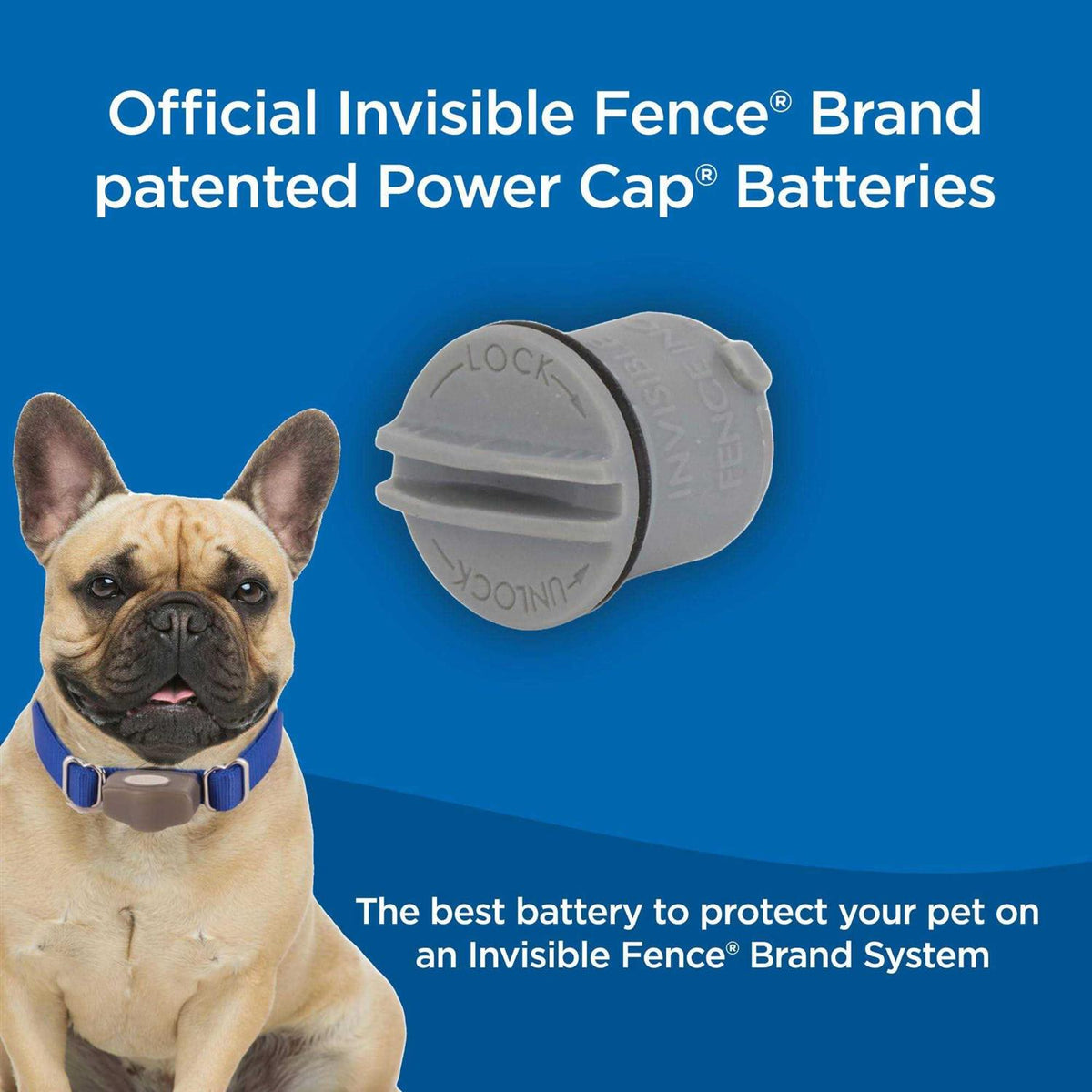 Power Cap Batteries W64164