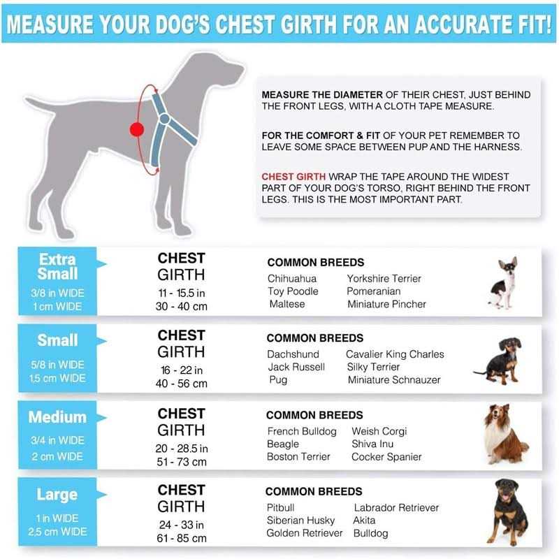 Reflective Step-in Dog Harness T5016