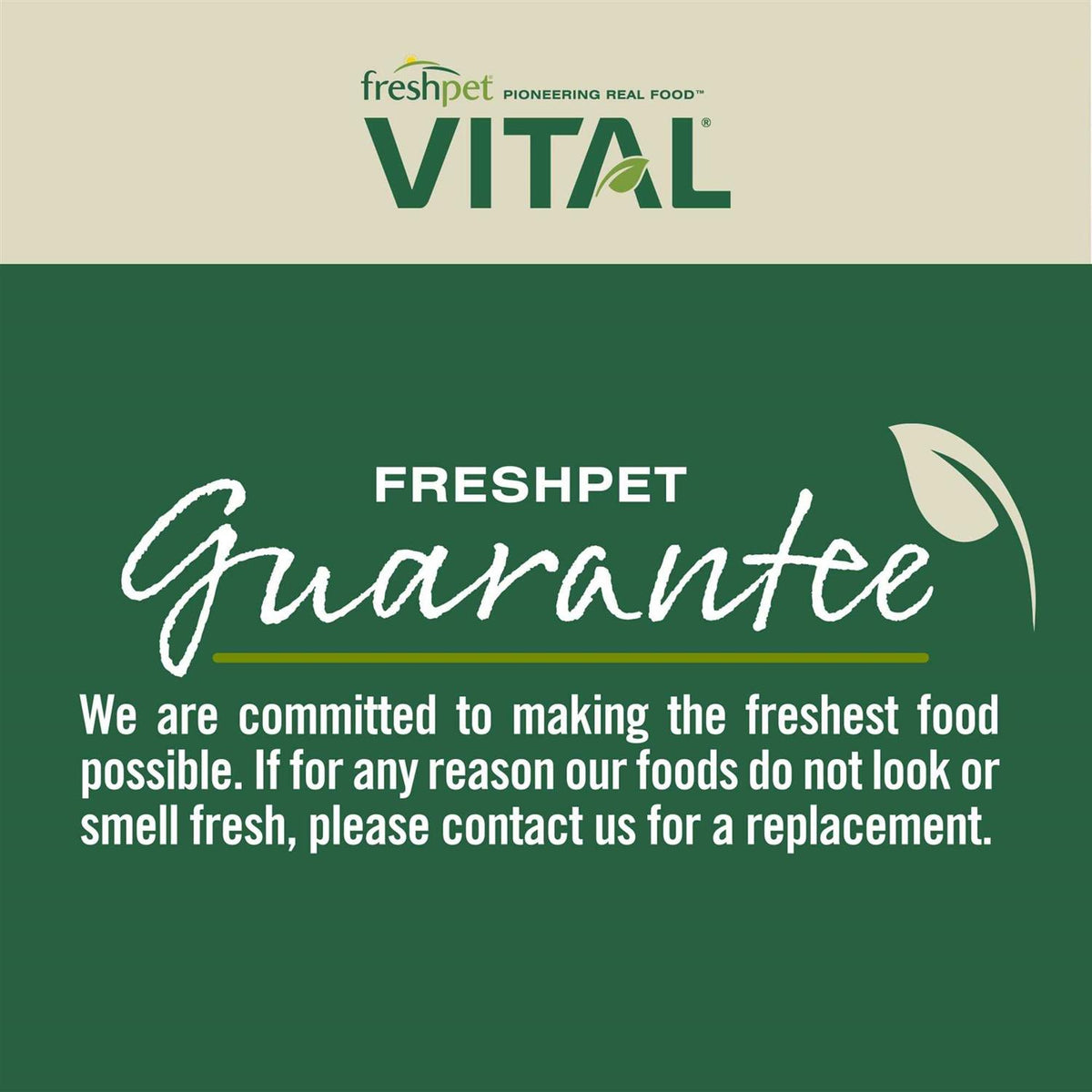 Grain Free Puppy Food Y5460