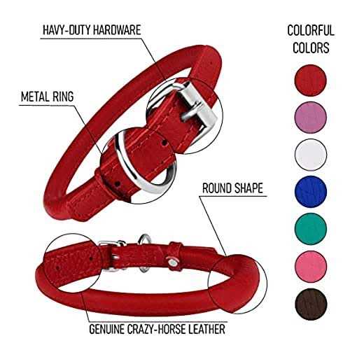 Rolled Leather Dog Collar with QR ID Dog Tag X63008