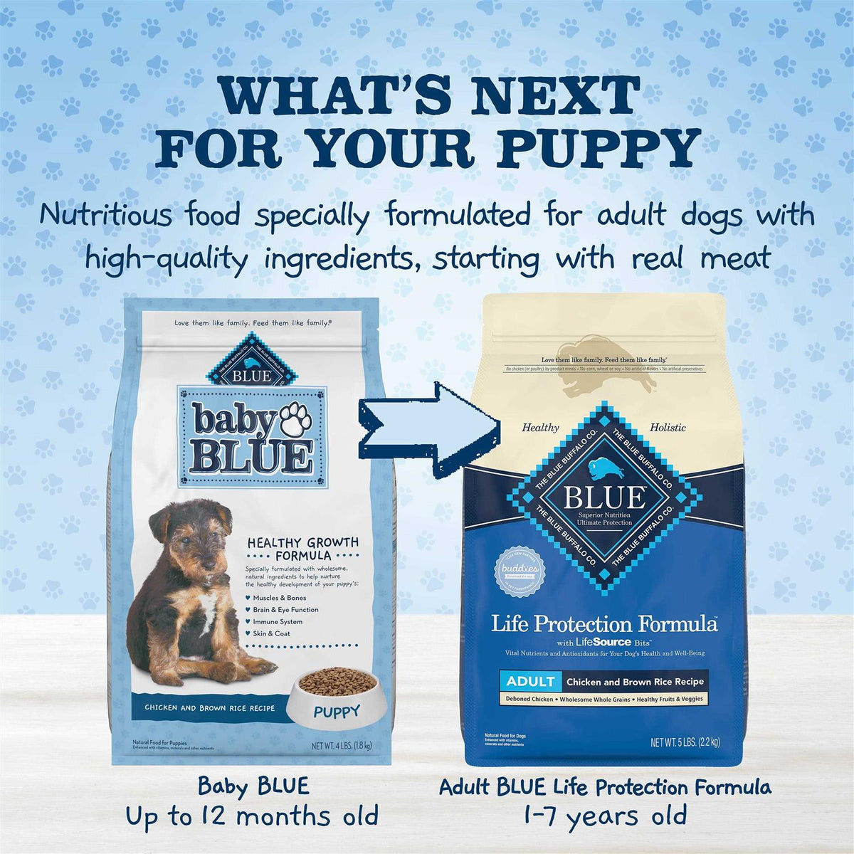 Natural Puppy Dry Dog Food Chicken and Brown Rice O52581