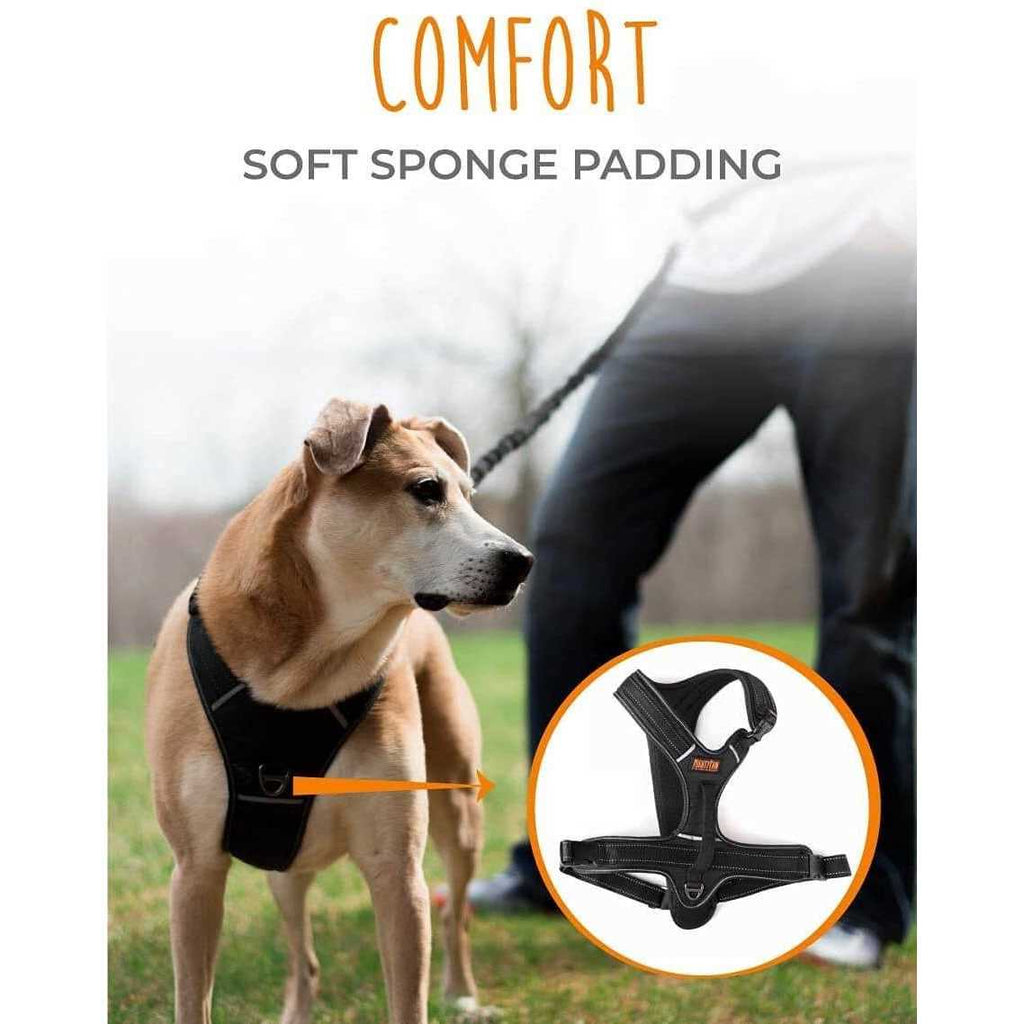No-Pull Dog Harness P382