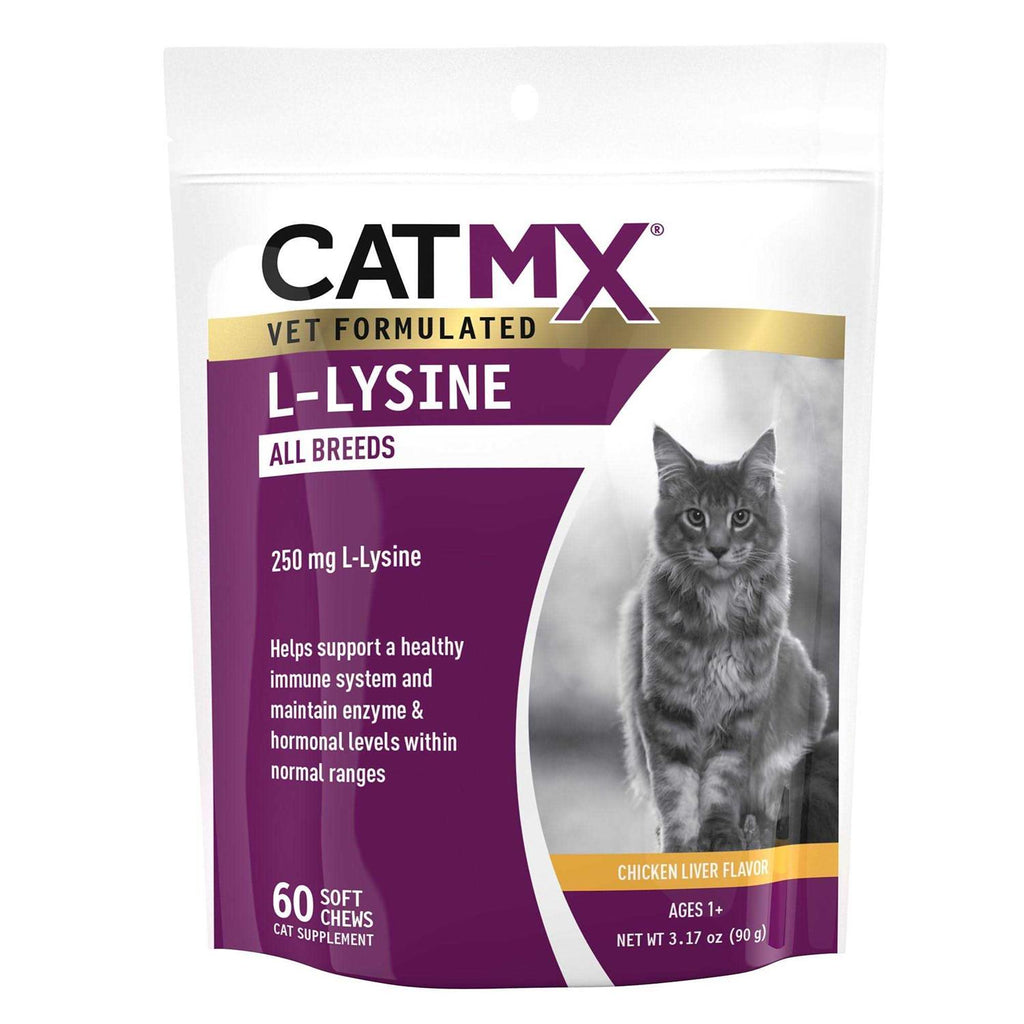 L-Lysine 60 soft Chews I8236