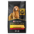 Complete Beef Adult Dry Dog Food R6965