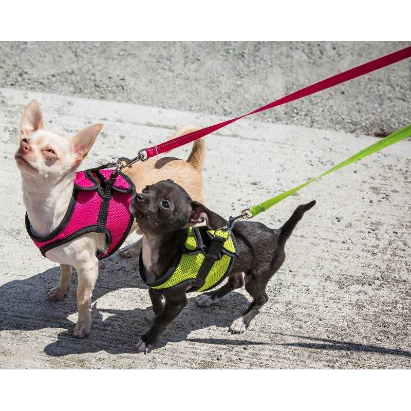 Step in Dog Harness L312