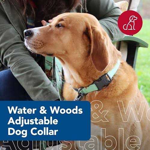 Adjustable Dog Collar W9928