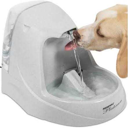 Pet Fountain S4519