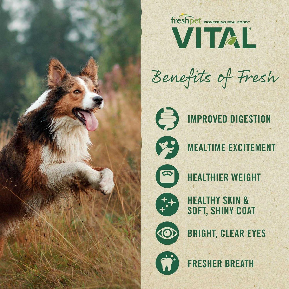 Grain Free Puppy Food Y5460