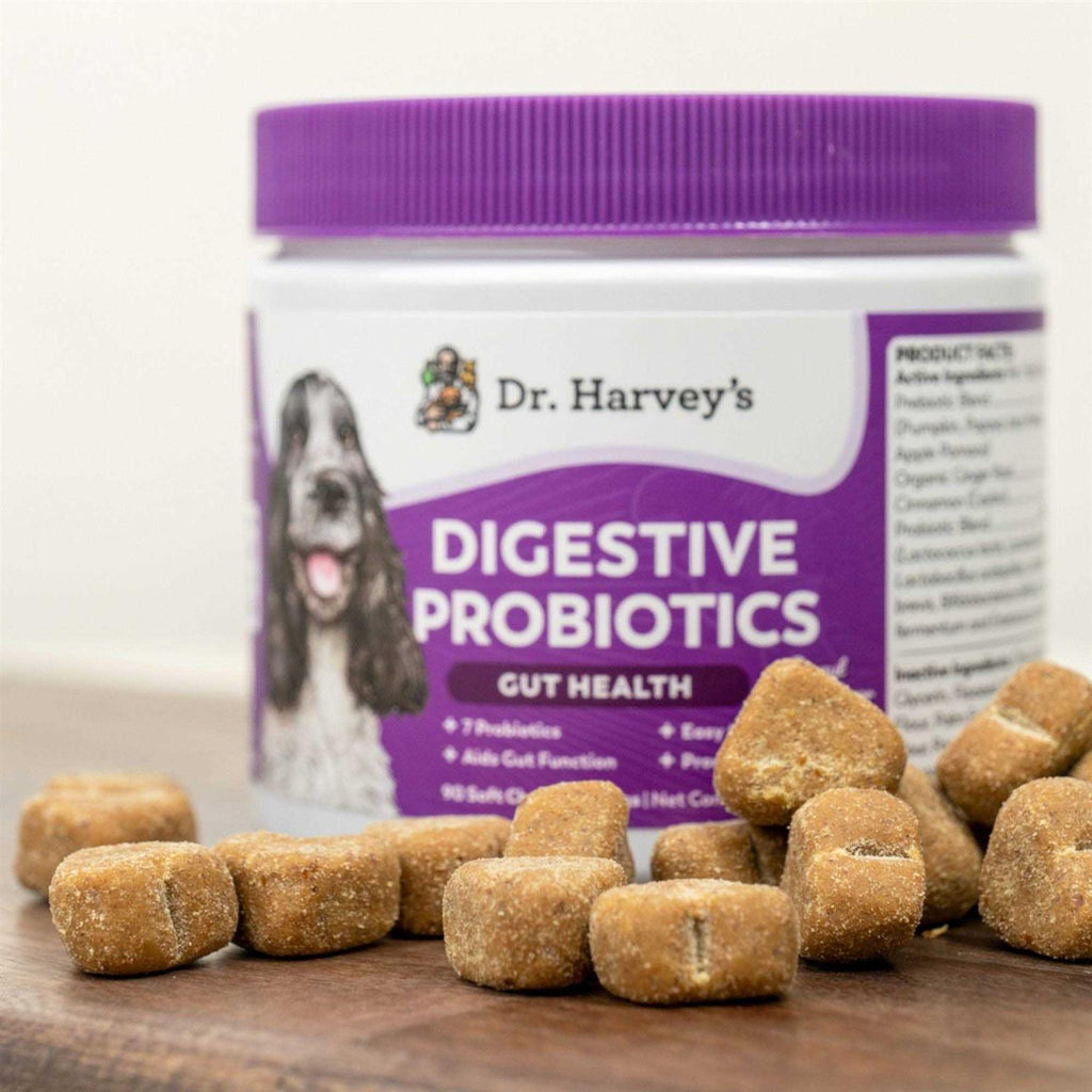 Probiotics Gut Health for Dogs Soft Chews Z926127