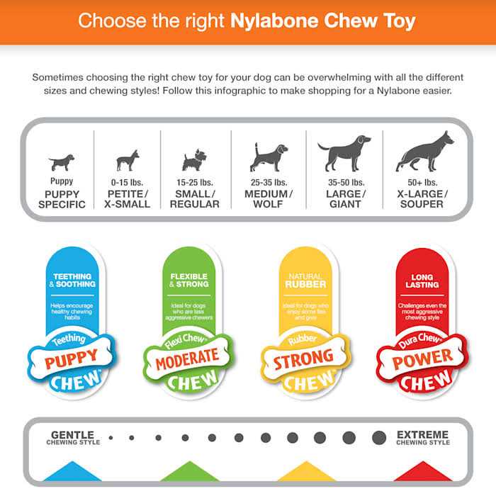Monster Bone Chew Toy G5331