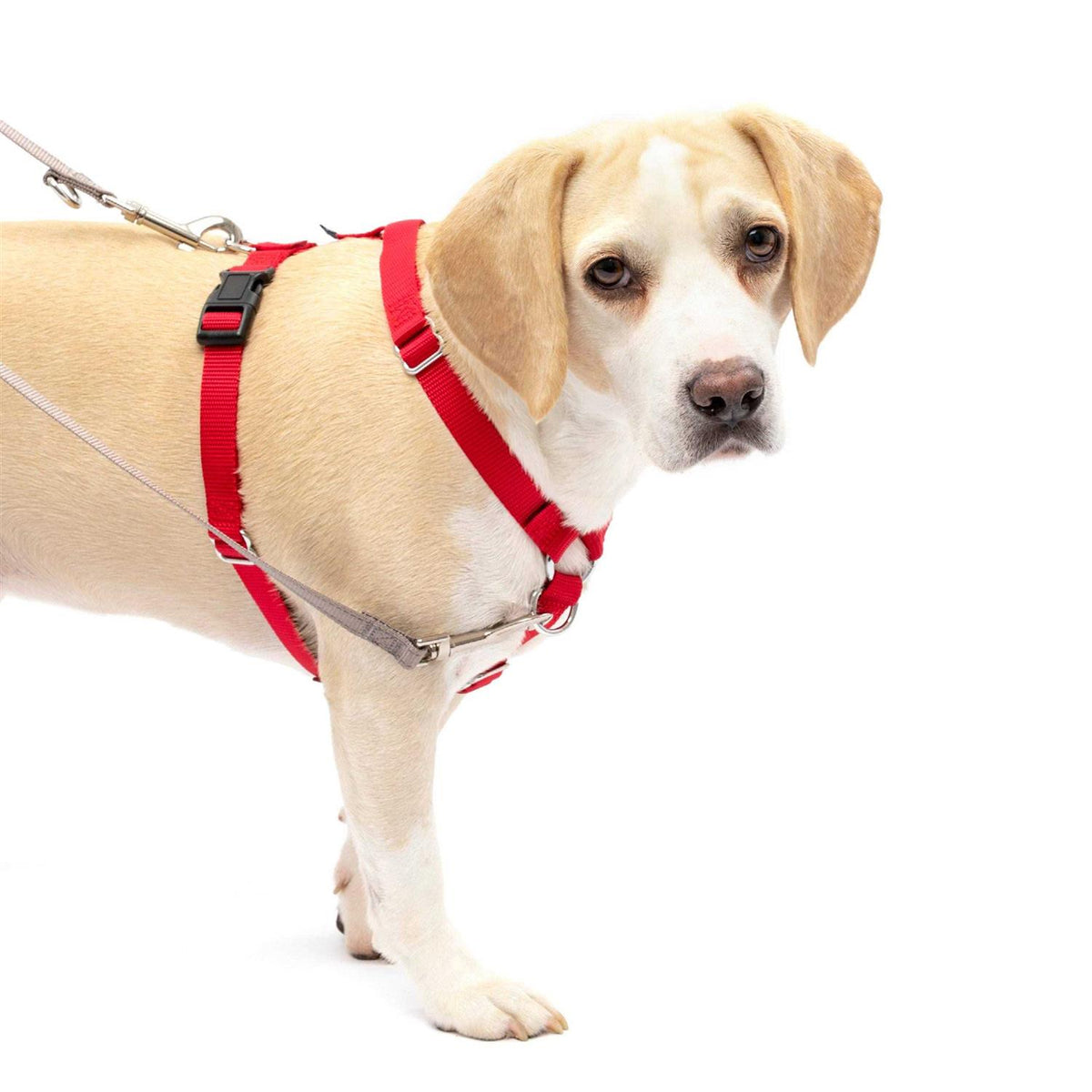 Sure-Fit Harness G15265