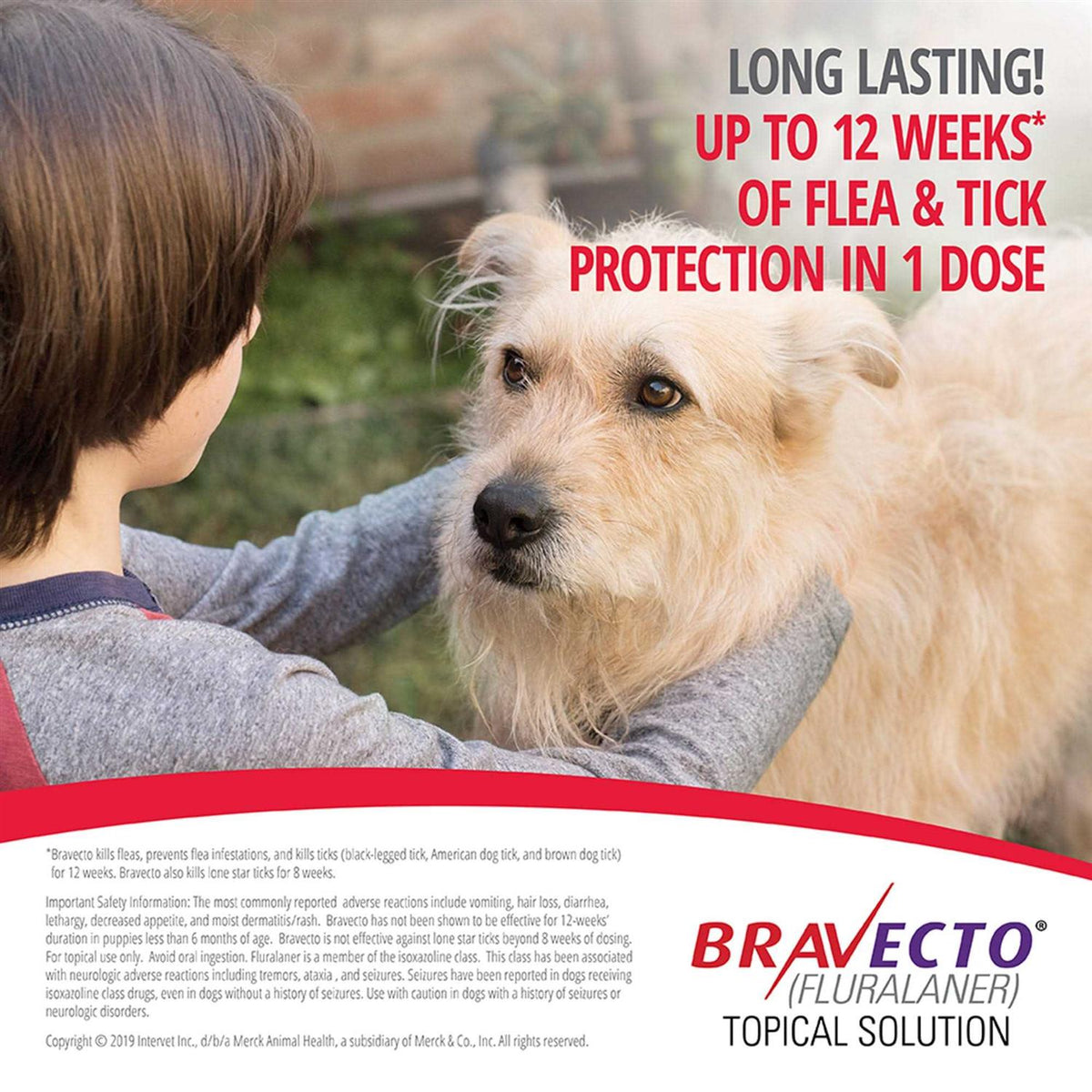 Topical Solution for Dogs E80473