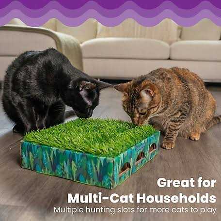 Grass Patch Cat Toy A564
