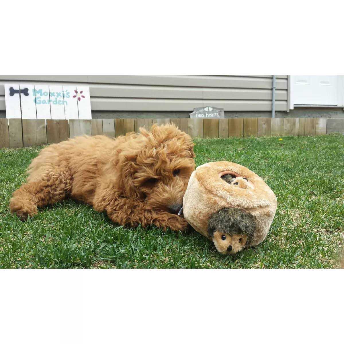 Dog Toy C432