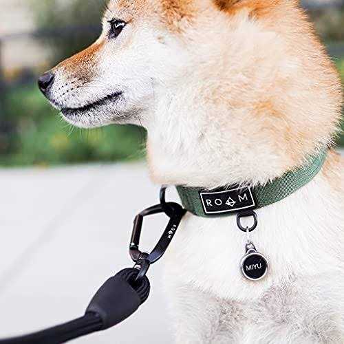 Ultra Soft Dog Leash with Carabiner J966786