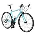 700C Men's Road Bike W509