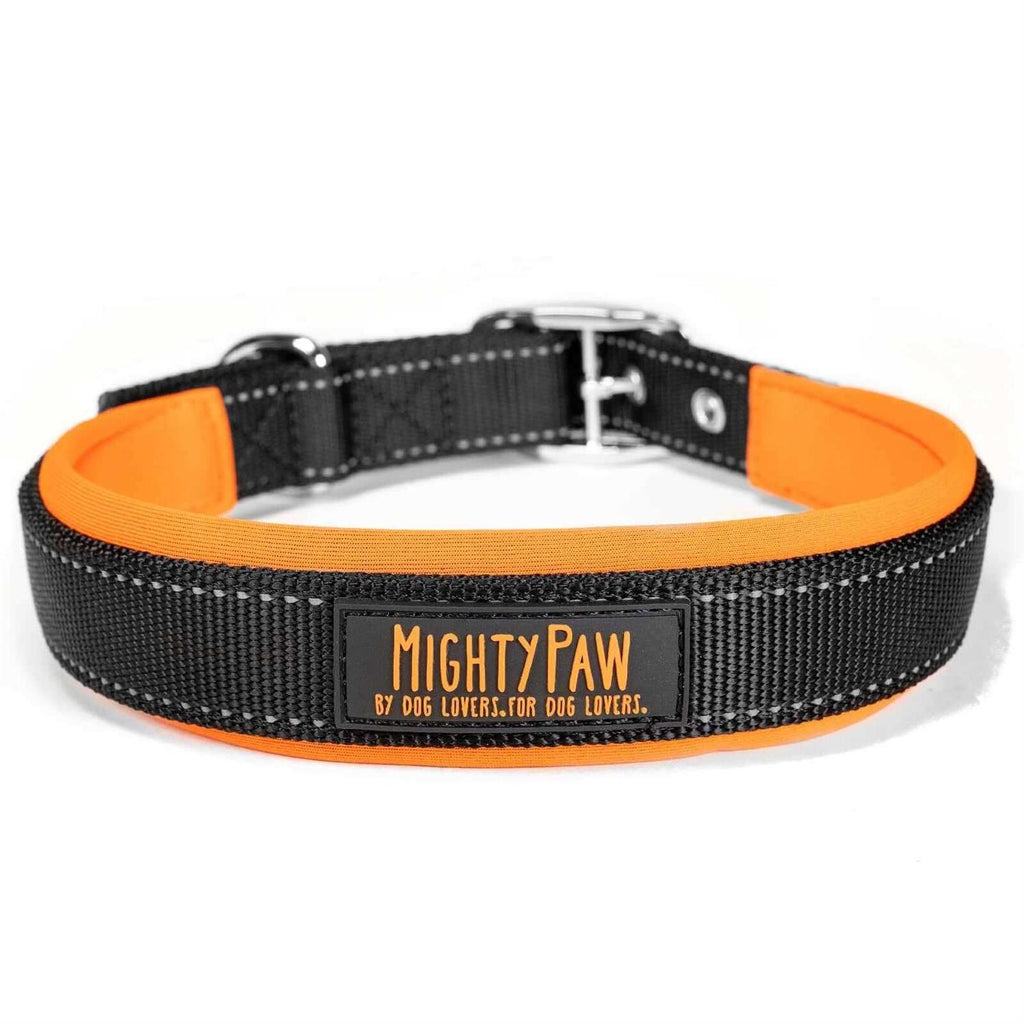 Dog Collar P147