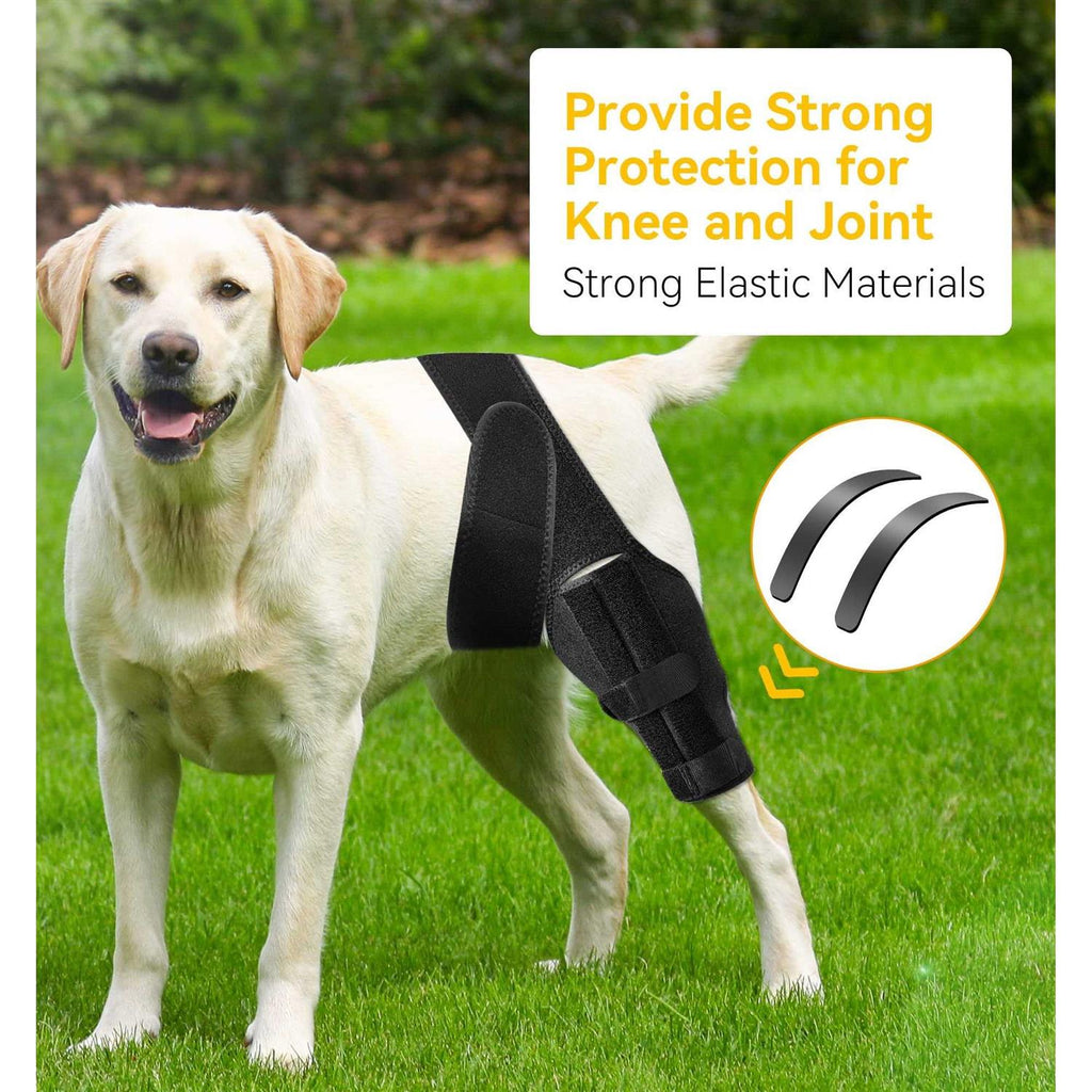 Dog Knee Brace for ACL Cruciate Ligament Injury N42907