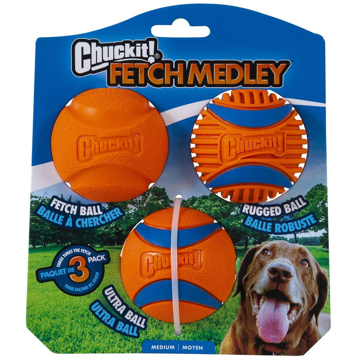 Fetch Medley T308524