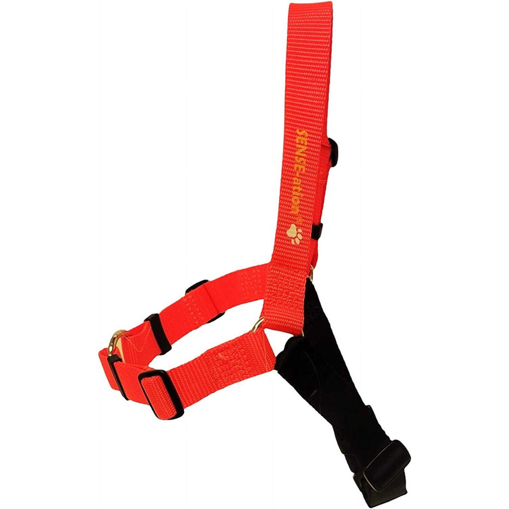 No Pull Dog Harness K335802