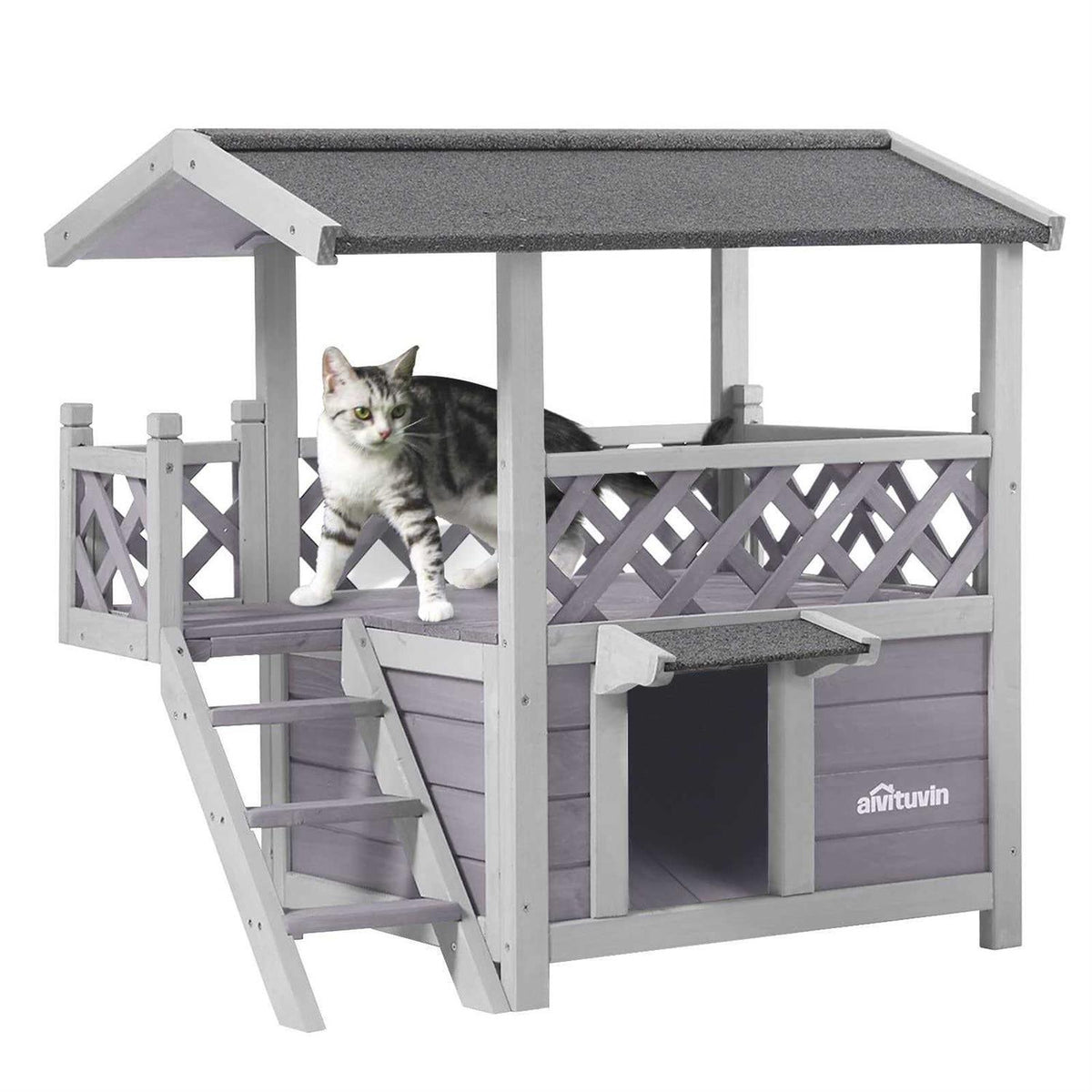 Outdoor Indoor Cat House with Escape Door G3490