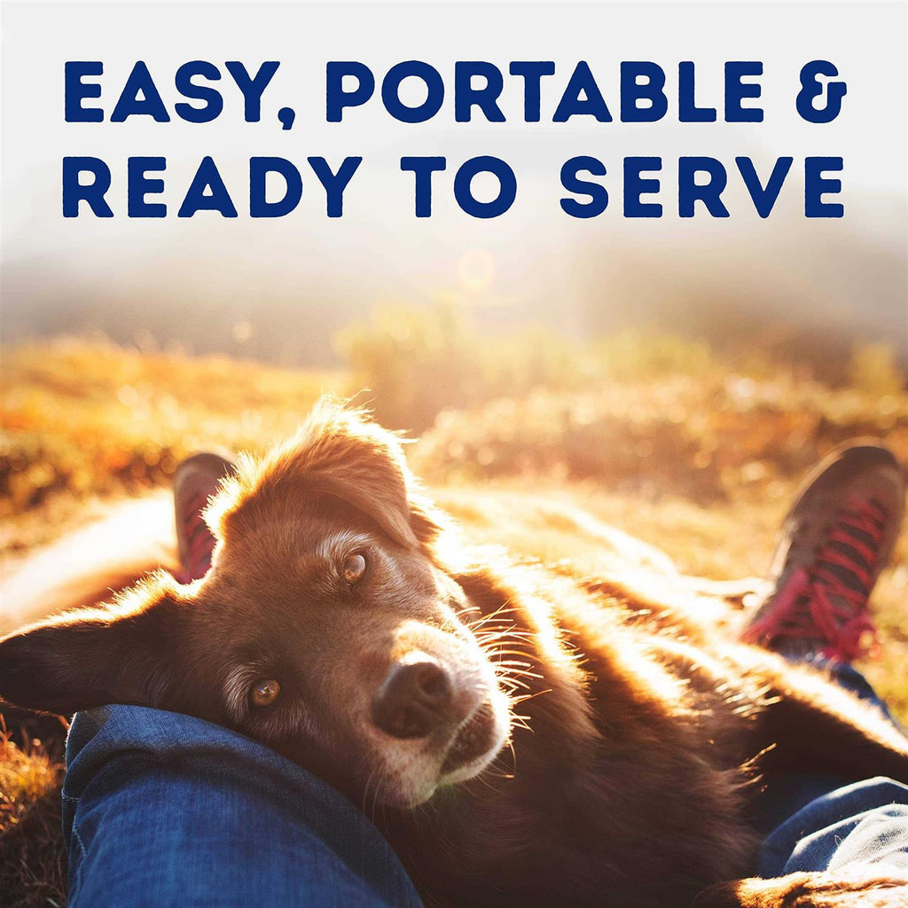 Savory Duck & Pumpkin Recipe Wet Dog Food E532859