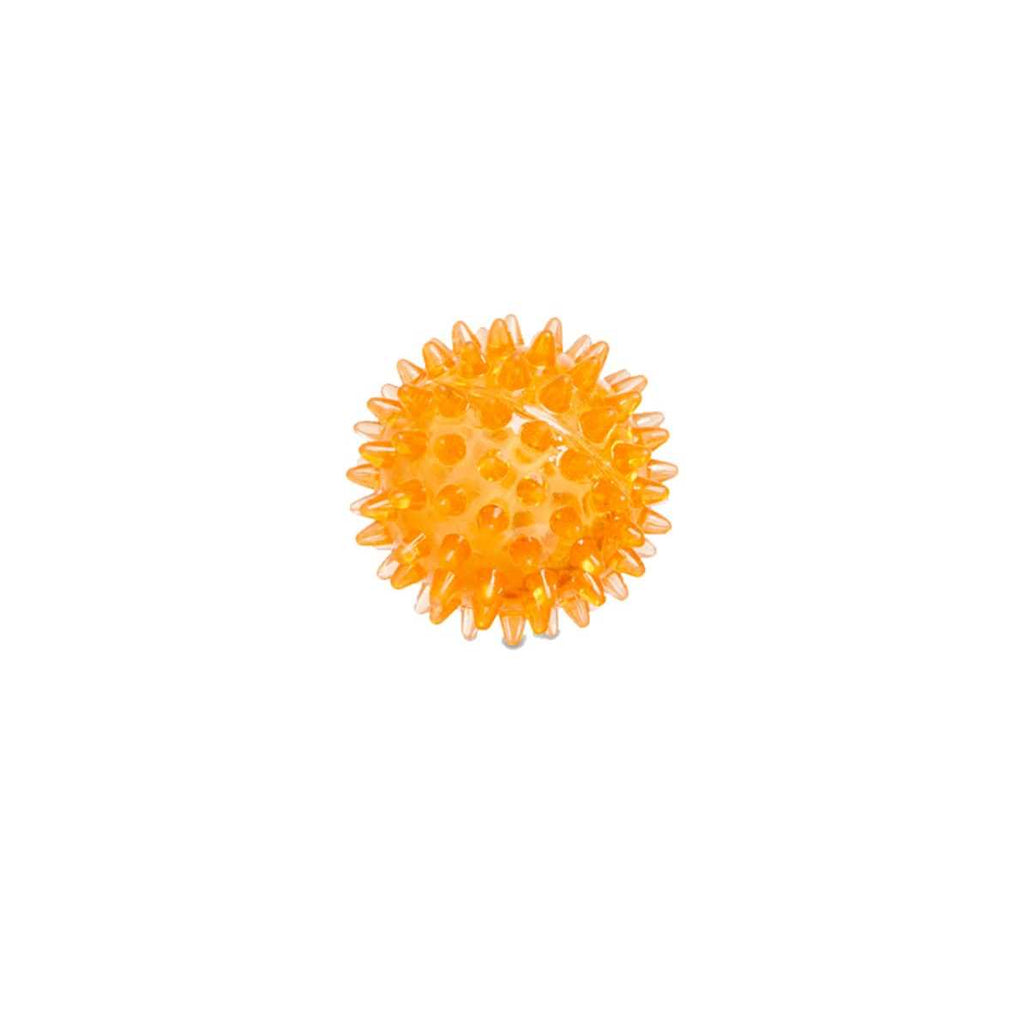 Spiny Ball Dog Chew Toy I37796