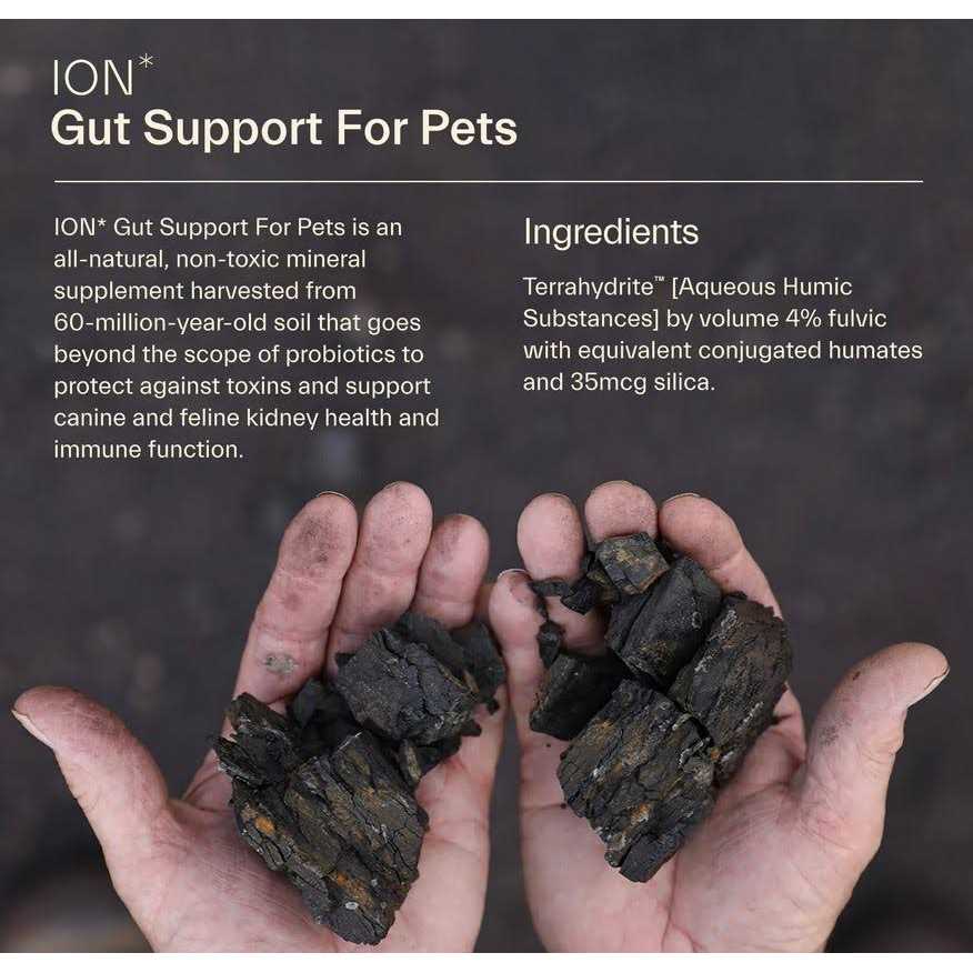 Gut Support For Pets X25838