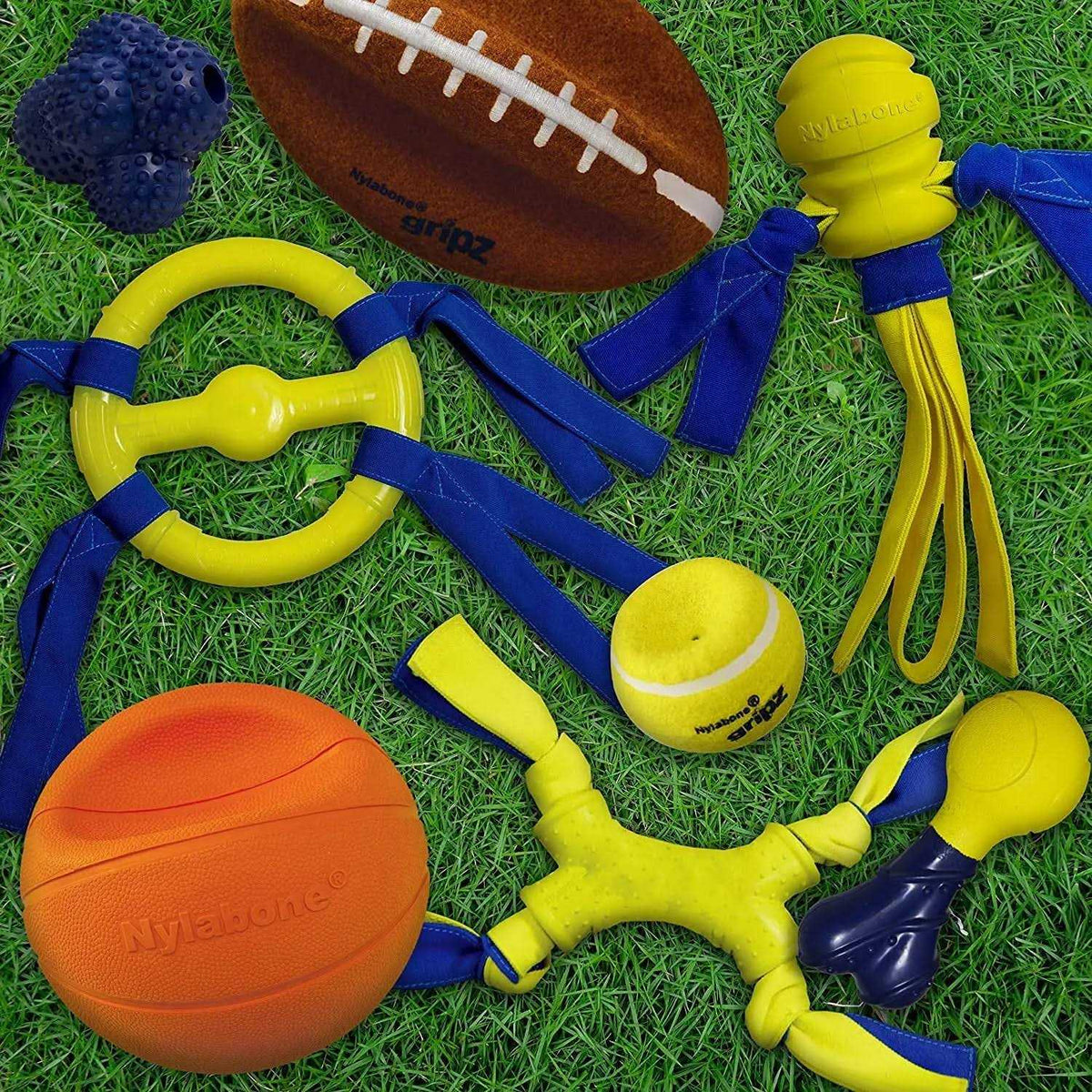 Dog Toy O304975