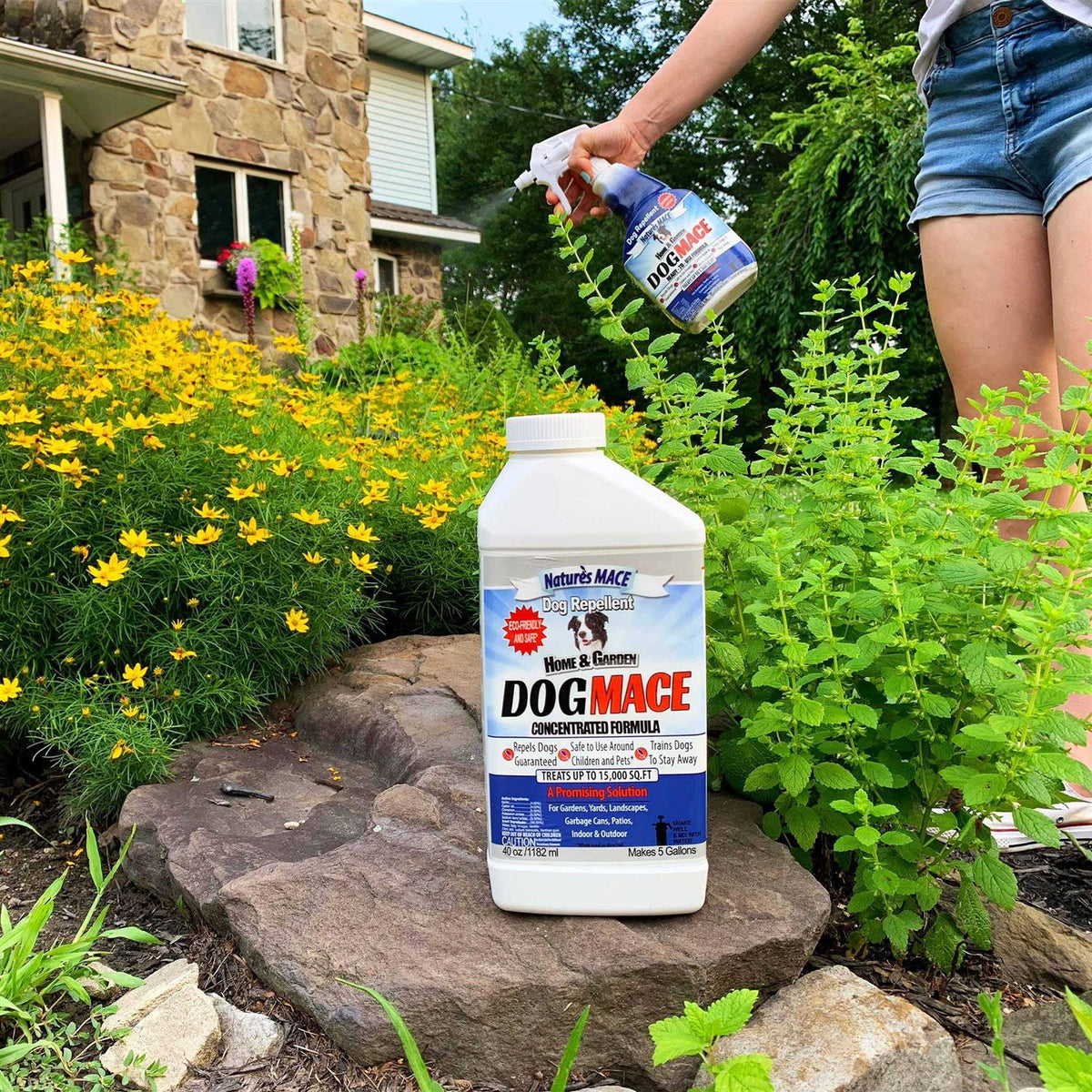 Dog Repellent Z40468
