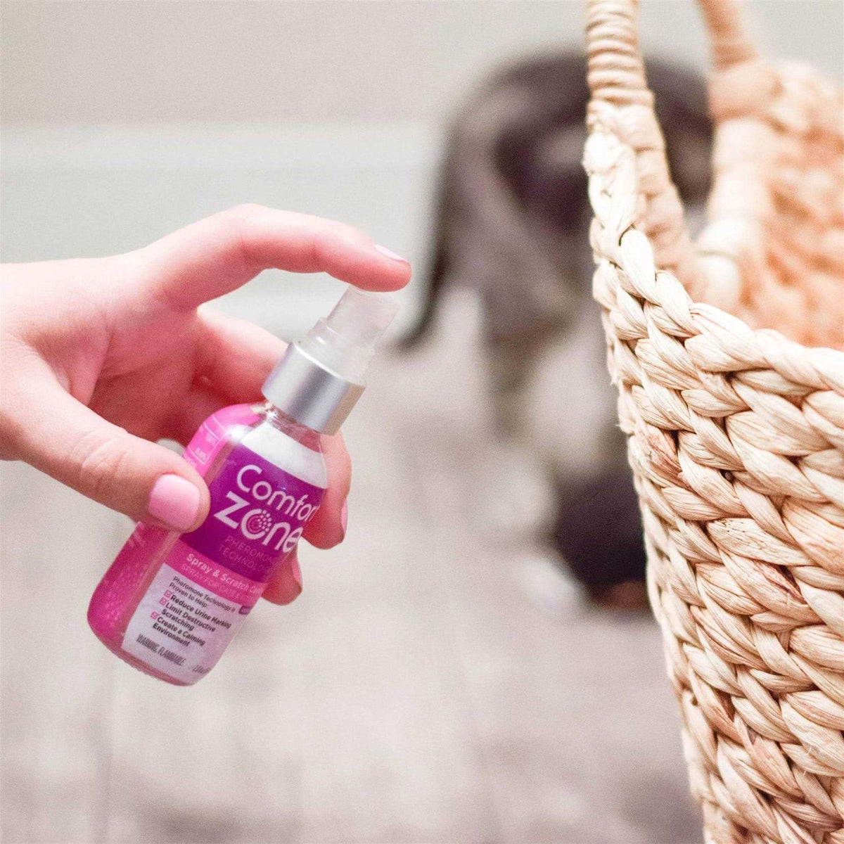 Cat Calming Spray G5660