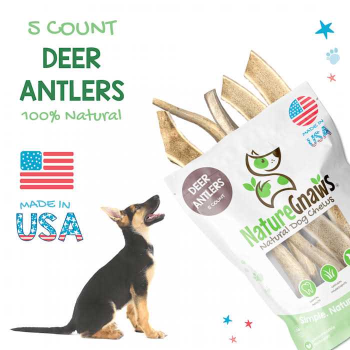 Elk Antlers for Large Dogs R743896