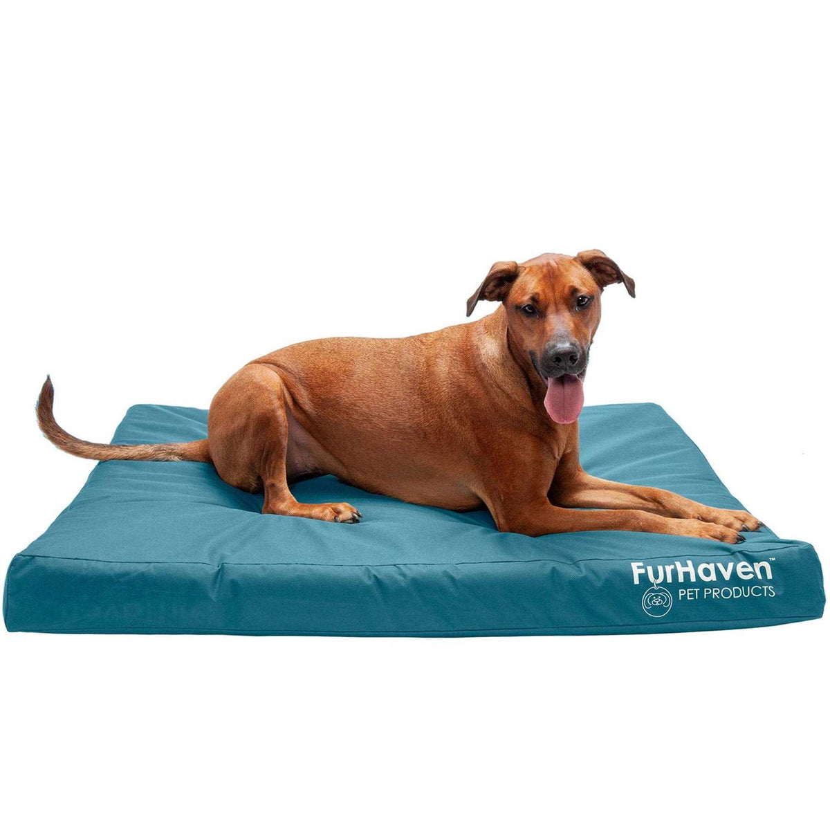 Dog Bed I79393