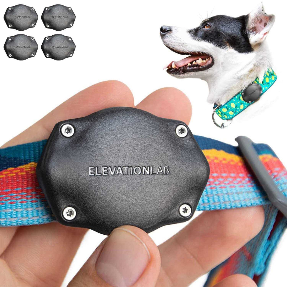 Waterproof AirTag Dog Collar Mount G74404