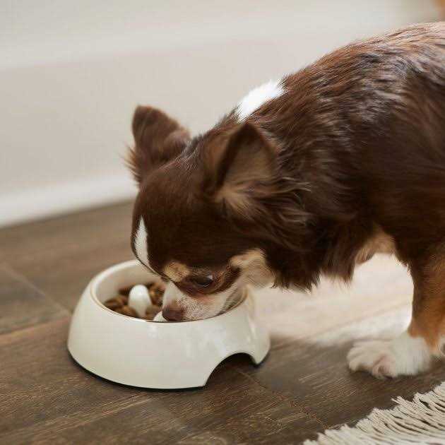 Melamine Slow Feed Dog & Cat Bowl P9520