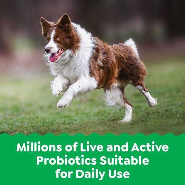 Probiotics for Dogs Chicken Flavor T49549