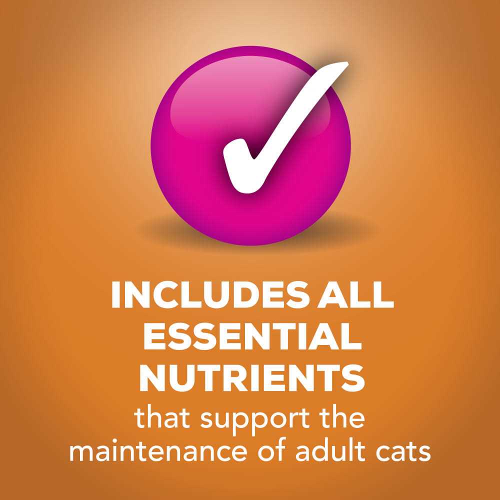 Chicken Pate Canned Cat Food M3908