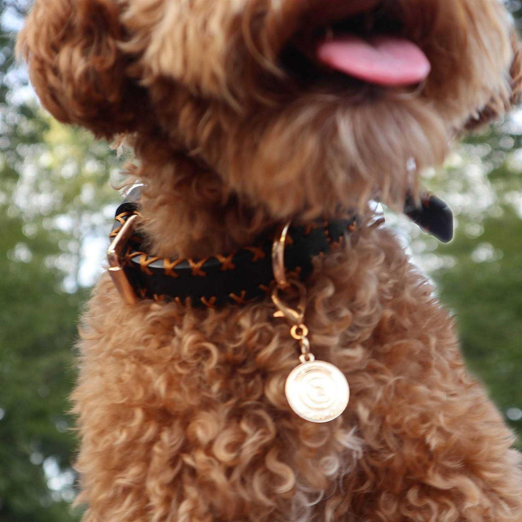 Handcrafted Standard Dog Collar E4654