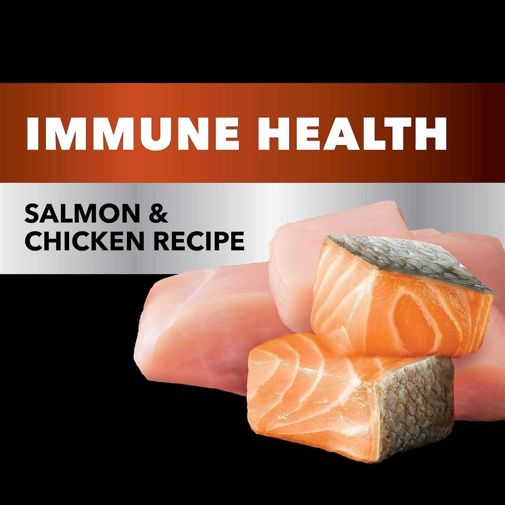 Salmon Chicken Recipe Adult Dry Cat Food I454