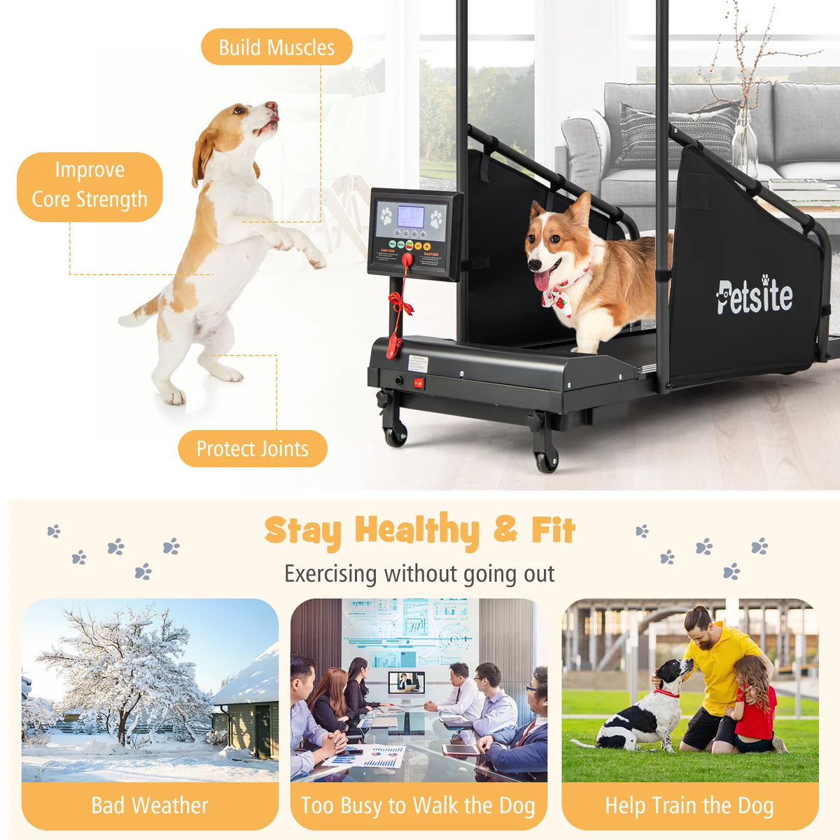 Dog Treadmill T923