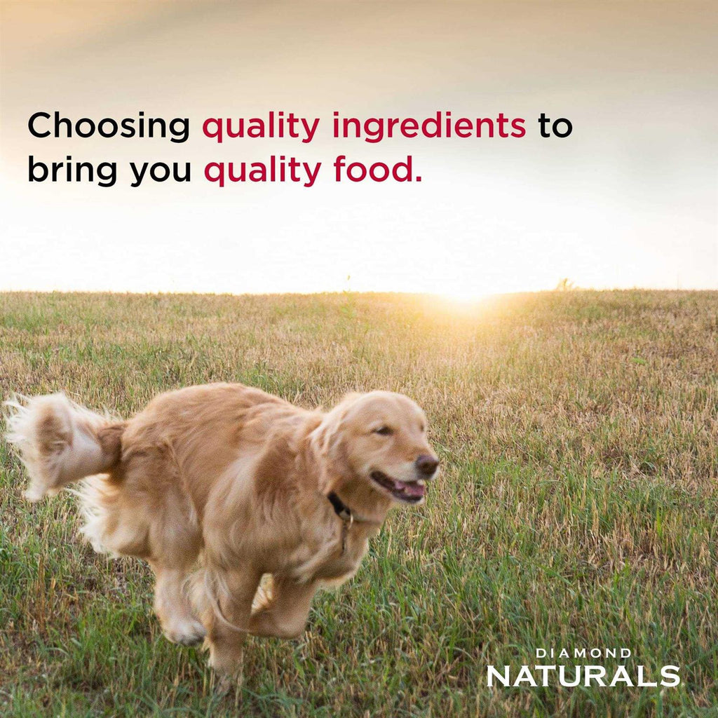 Small Breed Adult Lamb & Rice Dry Dog Food X17944