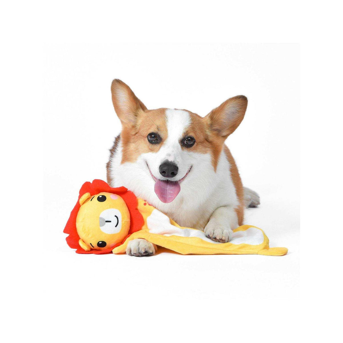 Dog Toy B1048