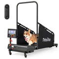 Dog Treadmill T923