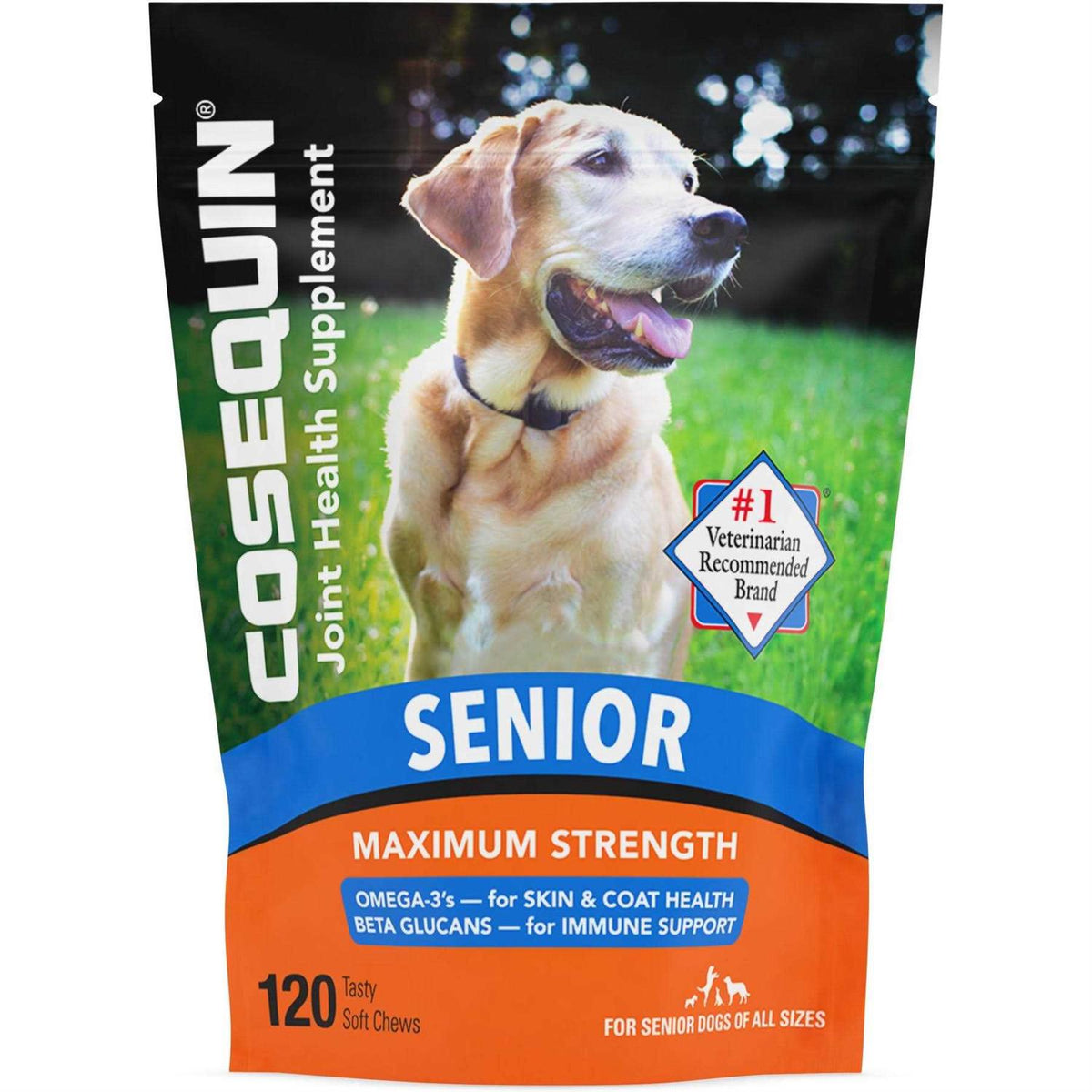 Joint Health Supplement for Senior Dogs J990